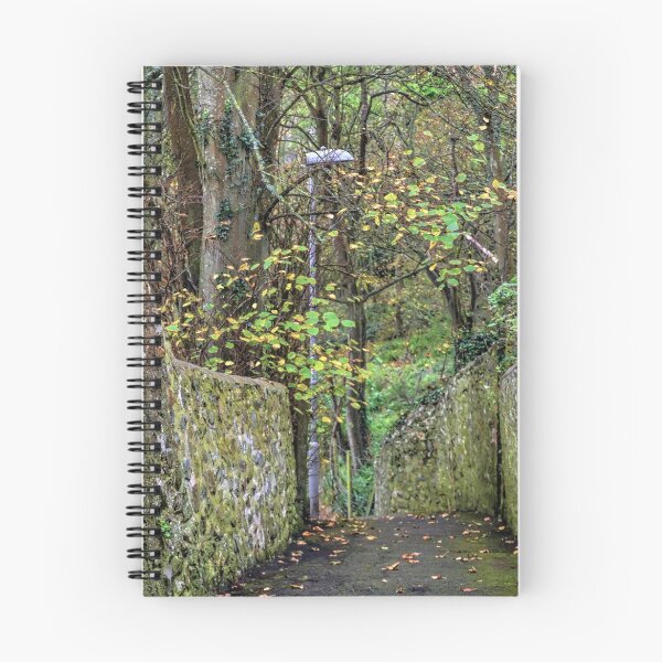 Item preview, Down Our Lane............Lyme Dorset UK designed and sold by lynn carter.