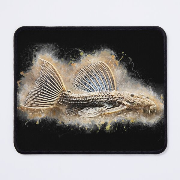 Item preview, L096 Portel Cactus Catfish - Pseudacanthicus sp. designed and sold by AquariumLutter.
