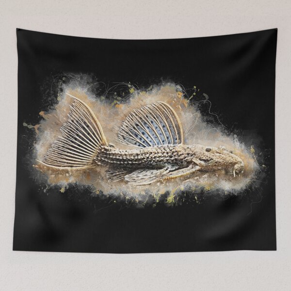 Item preview, L096 Portel Cactus Catfish - Pseudacanthicus sp. designed and sold by AquariumLutter.