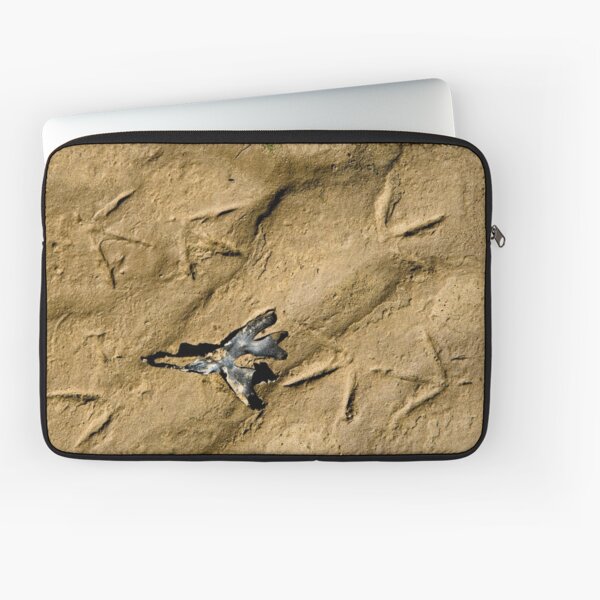 Item preview, Footsteps and Bladderwrack designed and sold by Jason Smalley.