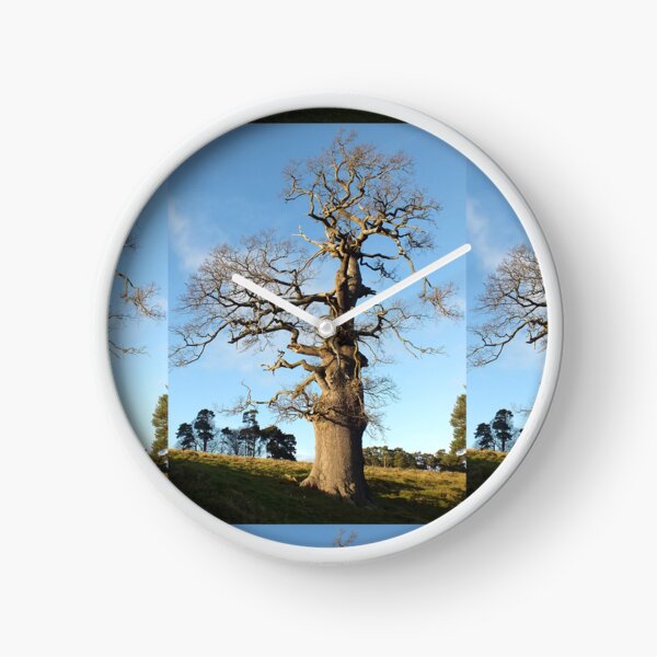 Item preview, Oak Tree designed and sold by pinkal.