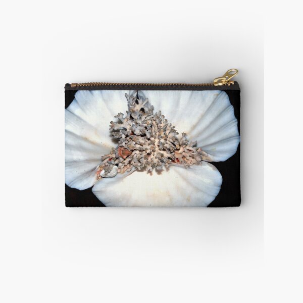 Item preview, Coral on clamshell designed and sold by B. Randi Bailey.