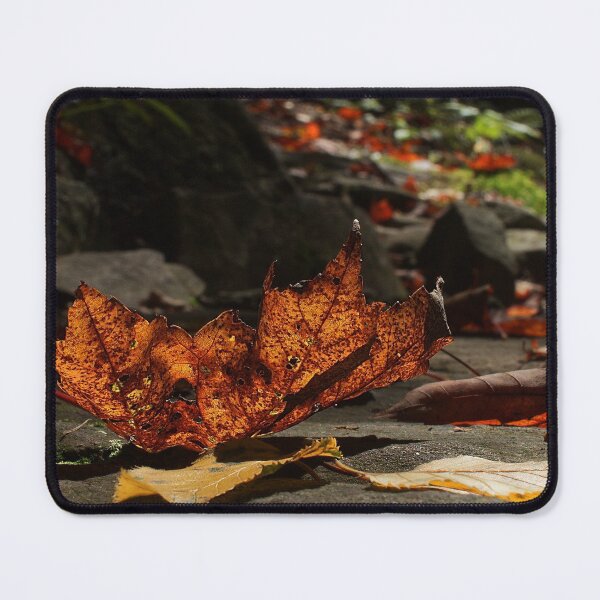 Item preview, Fall leaf at Neversink River designed and sold by MKP Productions.