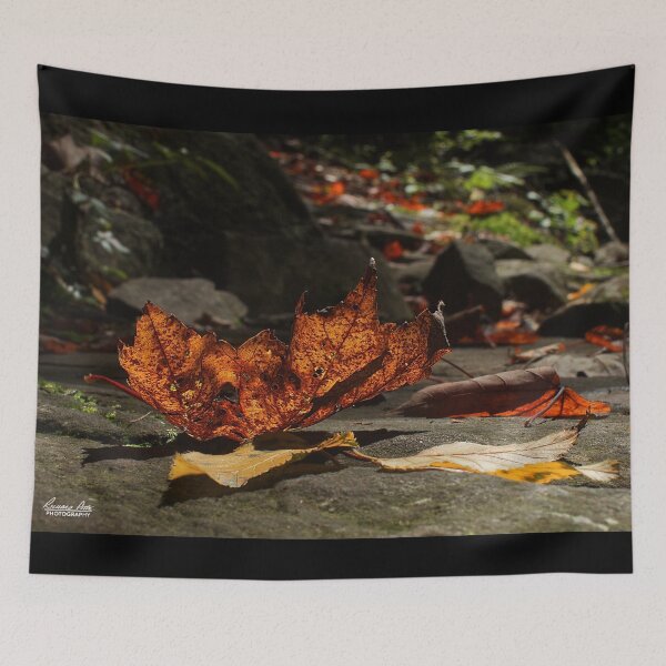 Aperçu de l'œuvre Feuille d'automne à Neversink River créée et vendue par MKP Productions.