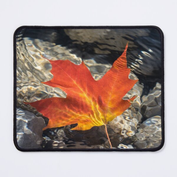 Item preview, Playful Patterns - Maple Leaf in Bold Vermilion and Orange Floating Underwater designed and sold by Georgia Mizuleva.