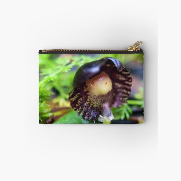 Item preview, Veined Helmet-orchid - Morwell National Park, Australia designed and sold by Bev Pascoe.