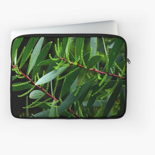 Acacia sophorae Laptop Sleeve
