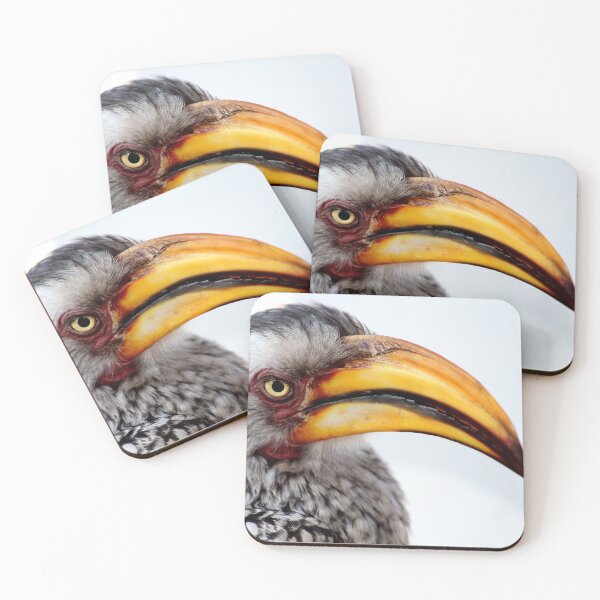 Item preview, Southern Yelllow Billed Hornbill designed and sold by LemonLite.