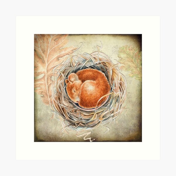 Item preview, Mouse In The Nest designed and sold by Patrizia  Ambrosini.