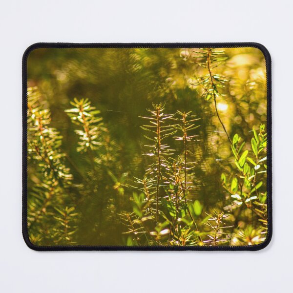 Item preview, Forestry plants in the morning sunlight designed and sold by yarvin13.