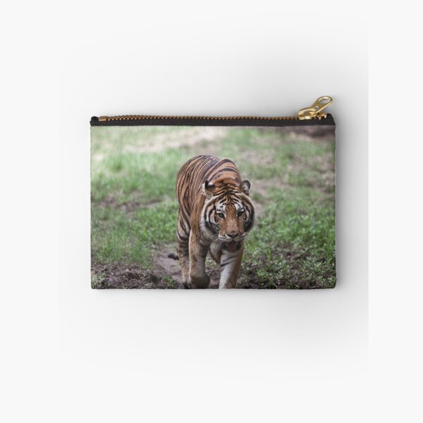 Item preview, Strips R' Us! - Zoo of Acadiana designed and sold by Jason C. Sonnier.