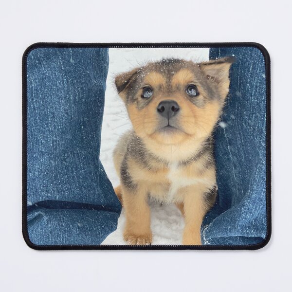 Item preview, Sophie, The Alaskan Husky Puppy designed and sold by AkApril.