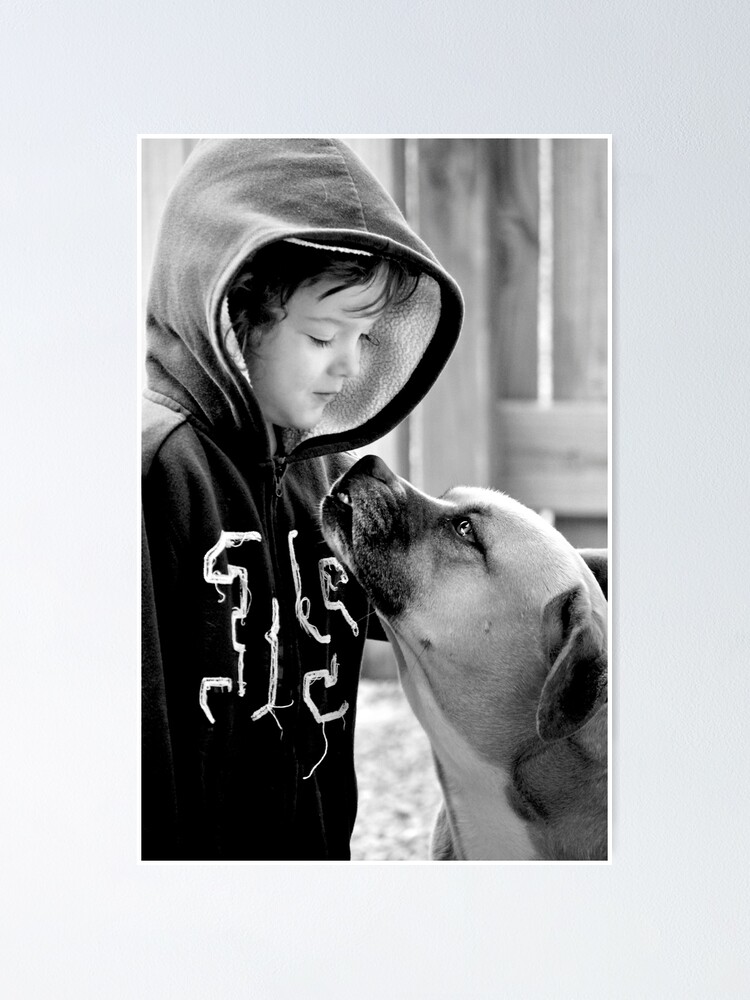 Life is the is the Lesson