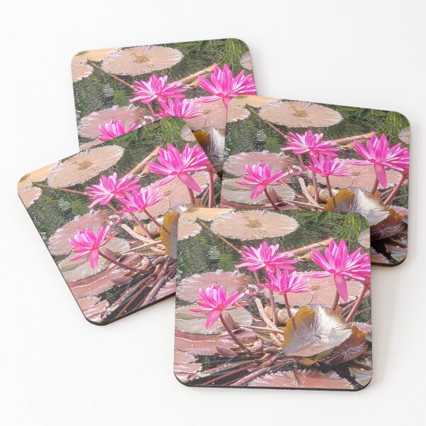 Item preview, Pink water lily designed and sold by ThornsnBerry.