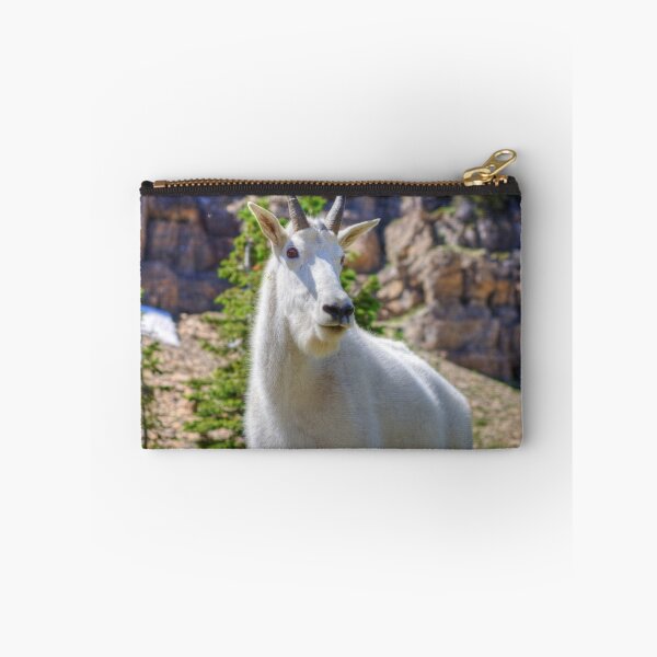 Item preview, Goat pose designed and sold by James (820Photography) Anderson.