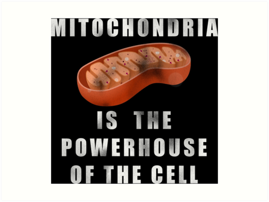 Mitochondria Is The Powerhouse Of The Cell Art Prints By Dzdn Redbubble