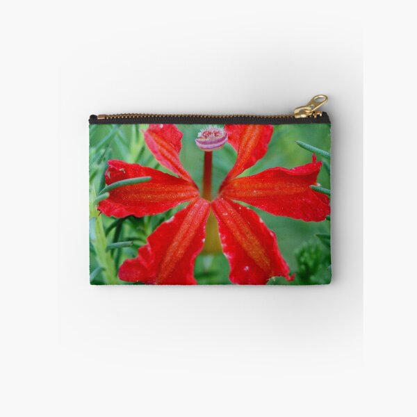 Item preview, Lechenaultia laricina  designed and sold by andrachne.