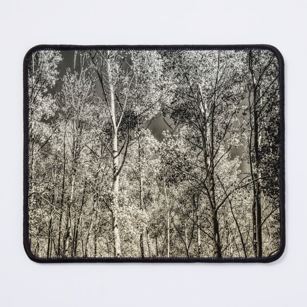 Item preview, Into The Woods designed and sold by Becky Titus.