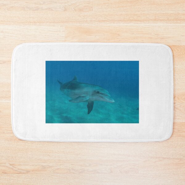 Item preview, Dolphin swimming in the Red Sea, Eilat Israel designed and sold by yeshayad.