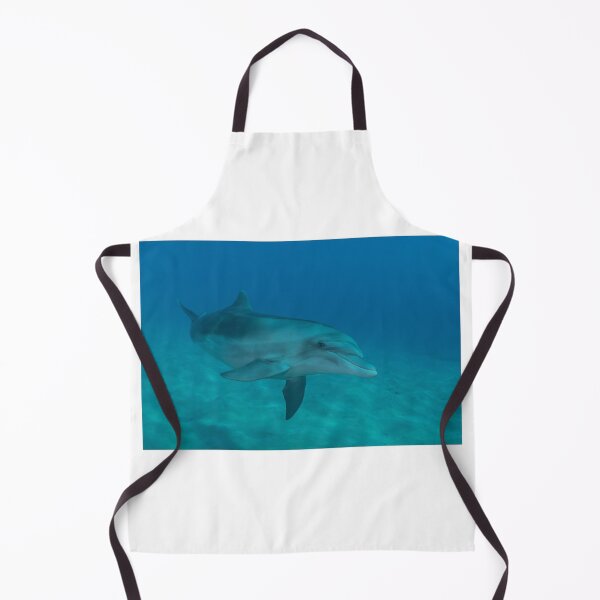 Item preview, Dolphin swimming in the Red Sea, Eilat Israel designed and sold by yeshayad.