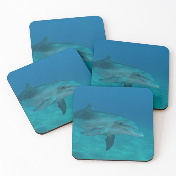 Item preview, Dolphin swimming in the Red Sea, Eilat Israel designed and sold by yeshayad.