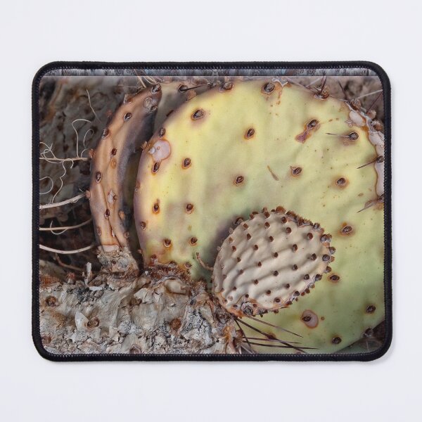 Item preview, Prickly Pear designed and sold by Becky Titus.