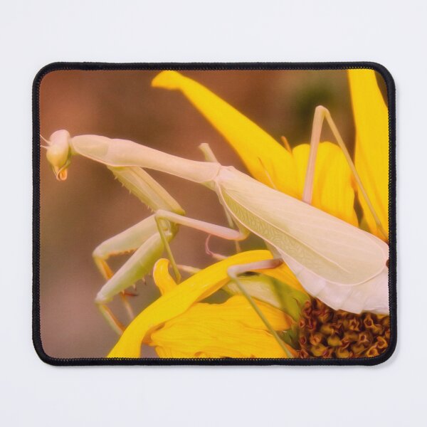Item preview, Waiting For A Beau designed and sold by Becky Titus.
