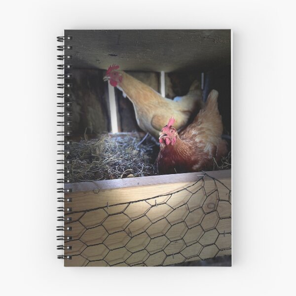 Item preview, Chickens a layin  designed and sold by WVGirl34.
