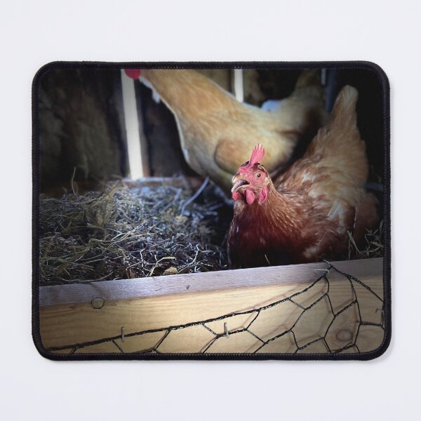 Item preview, Chickens a layin  designed and sold by WVGirl34.