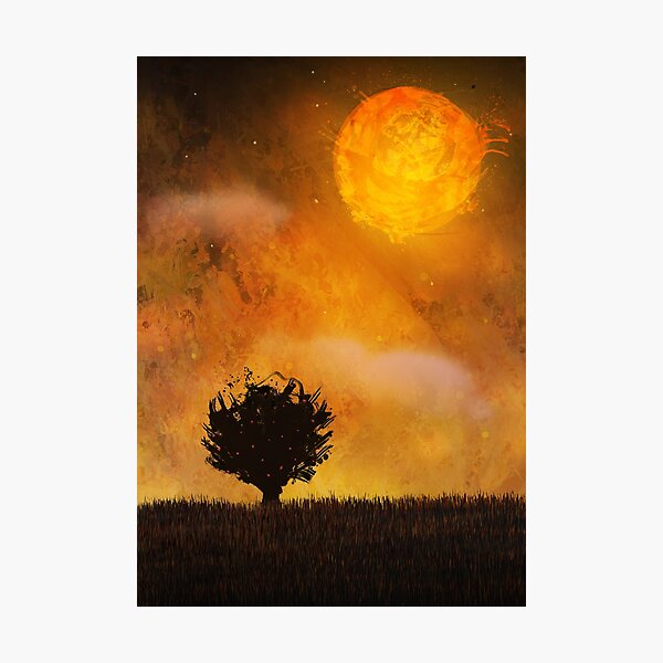 Sunset Photographic Print
