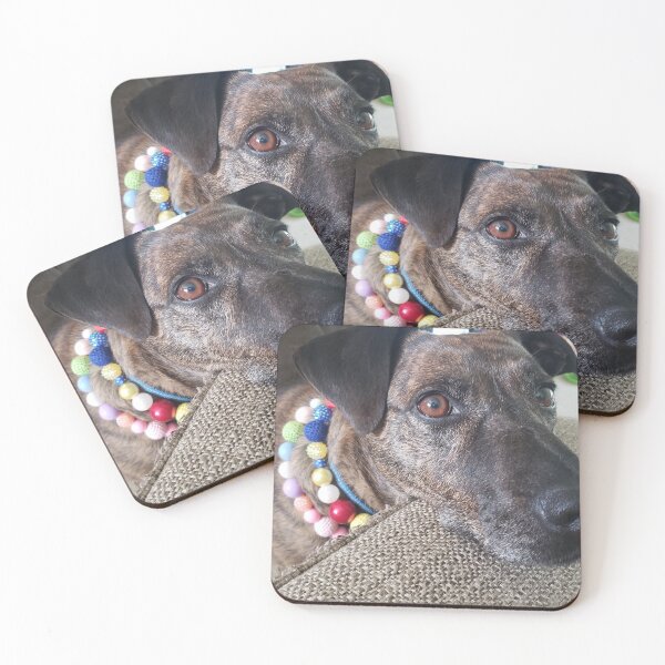 Item preview, Cute dog playing dress up designed and sold by ThornsnBerry.