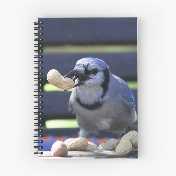 Aperçu de l'œuvre BlueJay créée et vendue par gypsykatz.