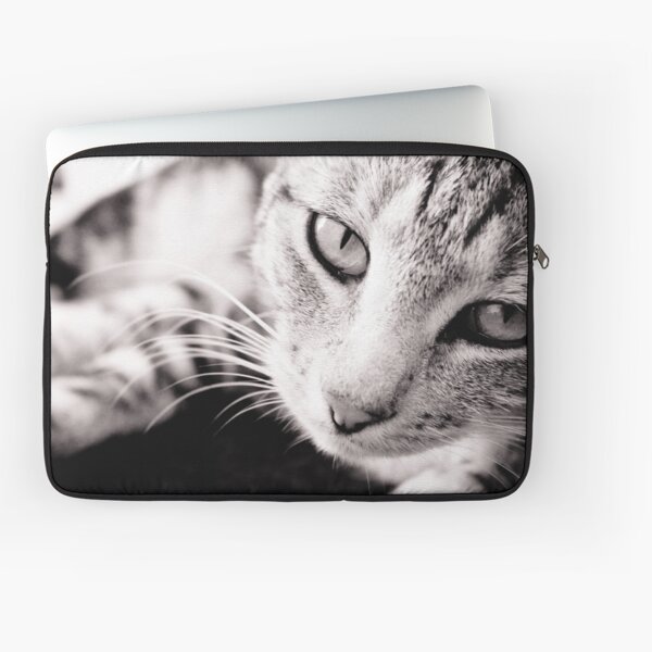 Companion Laptop Sleeve