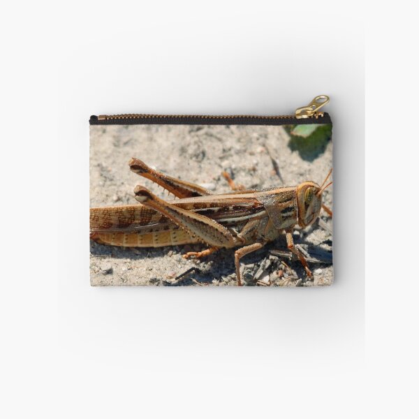 Item preview, Locust designed and sold by Anthony Goldman.