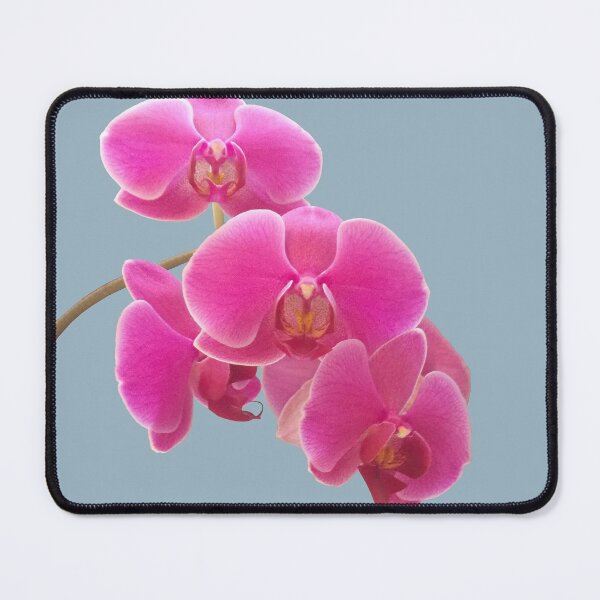 Item preview, Orchids Photo to Paint on Blue designed and sold by NataliePaskell.