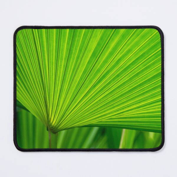Item preview, Green Tropical Biophilia - Fan Leaved Palm Tree designed and sold by Georgia Mizuleva.