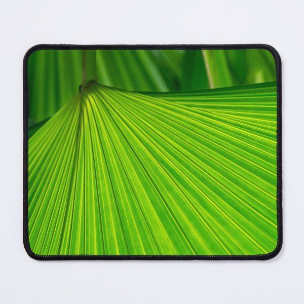 Item preview, Green Tropical Biophilia - Fan Leaved Palm Tree - Alternate Variant designed and sold by Georgia Mizuleva.
