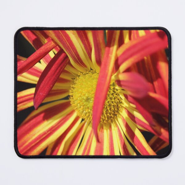 Item preview, Treasure flower designed and sold by Mdillon.