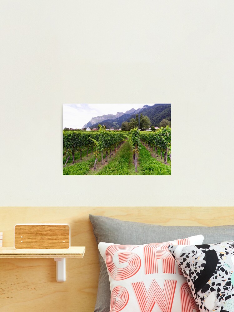 Thumbnail 2 of 3, Photographic Print, Vineyard in Switzerland designed and sold by Mallorn.