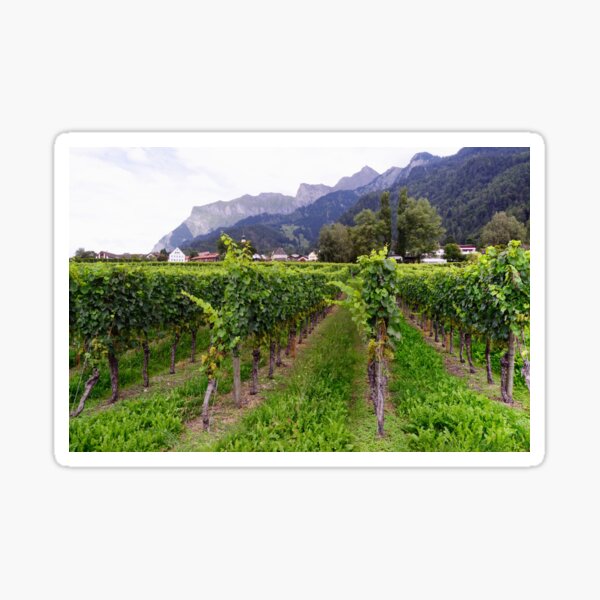 Item preview, Vineyard in Switzerland designed and sold by Mallorn.