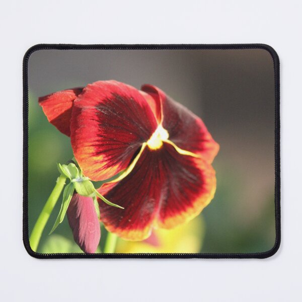 Item preview, Wild Pansy designed and sold by Mdillon.