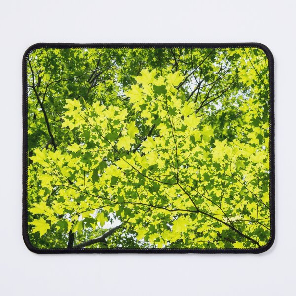 Item preview, Biophilic Leaf Mosaic - Early Summer Maple Tree Canopy designed and sold by Georgia Mizuleva.