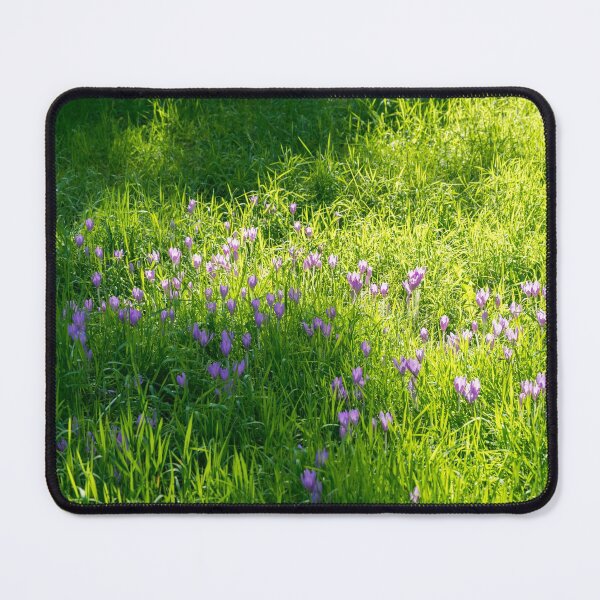 Item preview, Biophilic Crocus Carpet - Delicate Blooms and Grass Blades in the Sunshine designed and sold by Georgia Mizuleva.