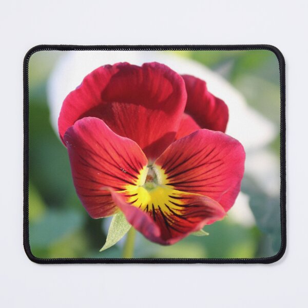 Item preview, Wild Pansy designed and sold by Mdillon.