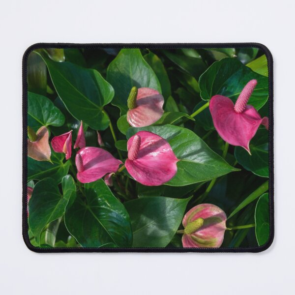 Item preview, Biophilic Celebration in Juicy Pink and Emerald Green designed and sold by Georgia Mizuleva.