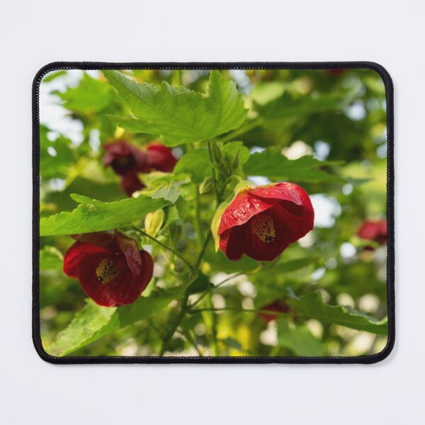 Item preview, Midsummer Garden Dreams - Abutilon Chinese Lanterns in Rich Vermilion designed and sold by Georgia Mizuleva.