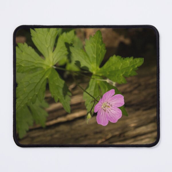Item preview, Fragrant Forest Floor Treasure - One Wood Geranium Bloom designed and sold by Georgia Mizuleva.