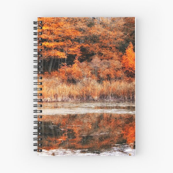 Item preview, Autumnal Equinox  designed and sold by photoclique.
