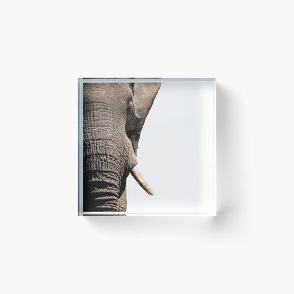 Item preview, an Elephant closeup designed and sold by LemonLite.