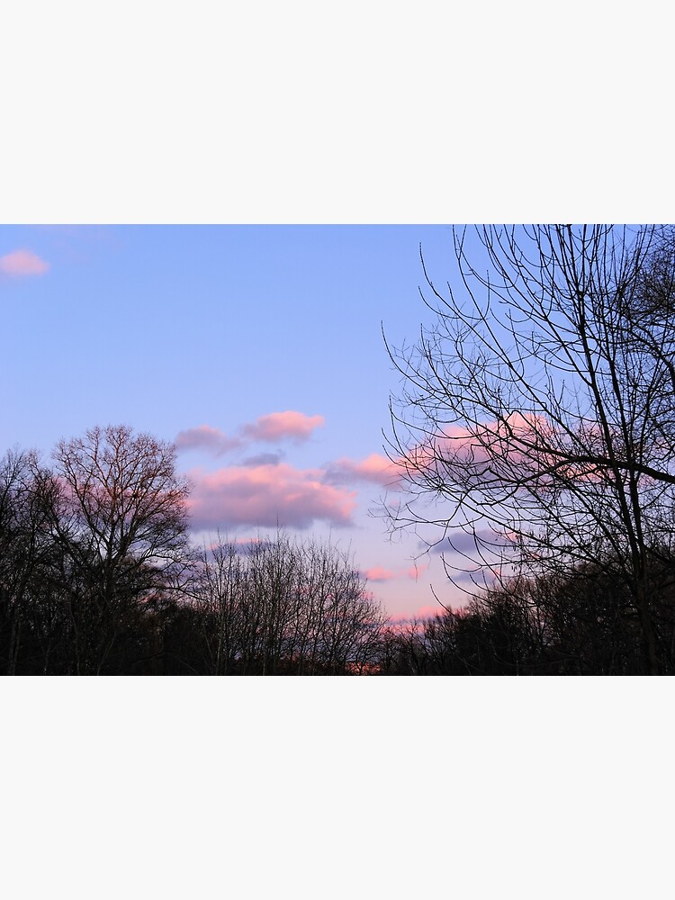 Thumbnail 7 of 7, Framed Art Print, Evening designed and sold by Mallorn.